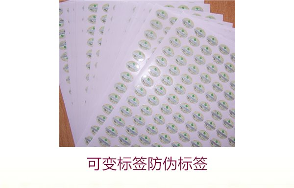 可变标签防伪标签2.jpg