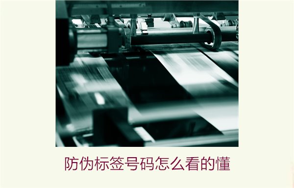 防伪标签号码怎么看的懂？详细解析防伪标签号码的识别方法与技巧(图1)